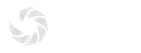 Octagon